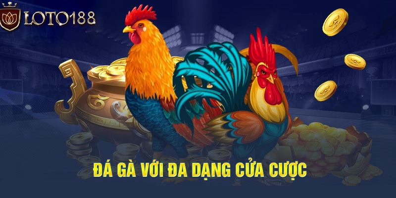 Cửa cược BDD