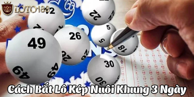 Nuôi cặp lô kép bằng khung ba ngày siêu chuẩn