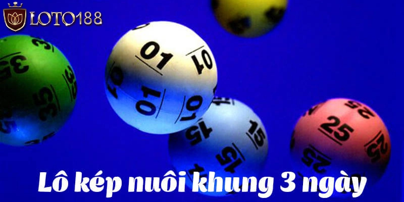 Vì sao nuôi cặp lô kép khung 3 ngày siêu chuẩn được yêu thích?