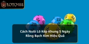 nuôi lô kép khung 5 ngày rồng bạch kim