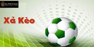 Xả Kèo Là Gì? Hướng Dẫn Cách Xả Kèo Cược Bảo Toàn Vốn