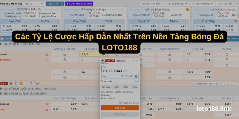 cac ty le cuoc hap dan nhat tren nen tang bong da loto188 cac ty le cuoc hap dan nhat tren nen tang bong da loto188