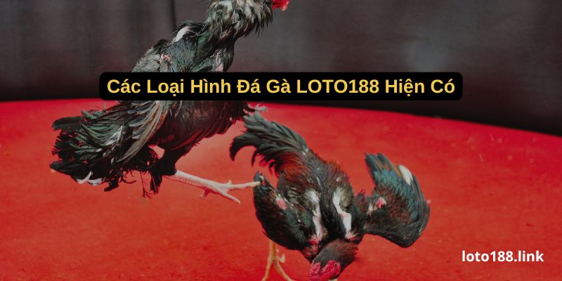 cac loai hinh da ga loto188 hien co cac loai hinh da ga loto188 hien co
