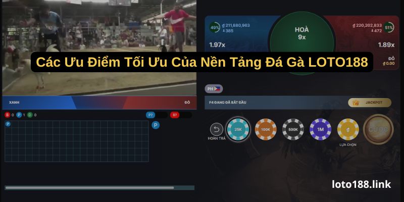 cac uu diem toi uu cua nen tang da ga loto188 cac uu diem toi uu cua nen tang da ga loto188