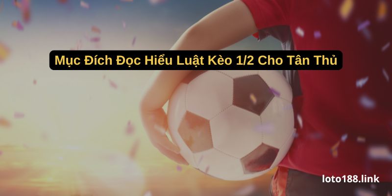 muc dich doc hieu luat keo 1 2 cho tan thu muc dich doc hieu luat keo 1 2 cho tan thu